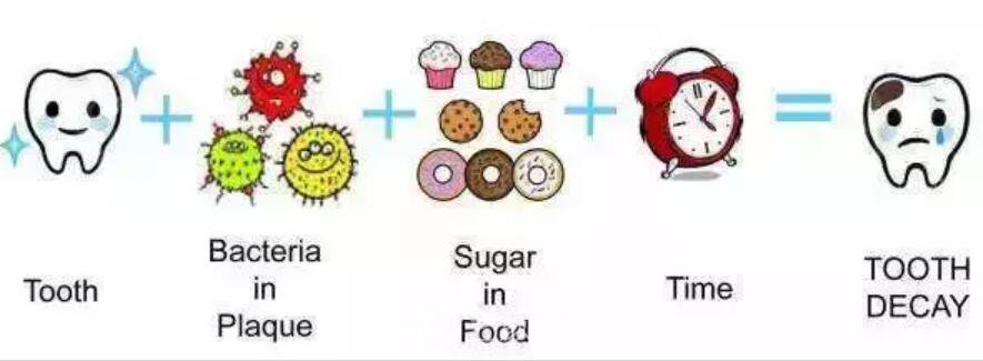 一口牙里，哪顆牙齒較容易長蛀牙？