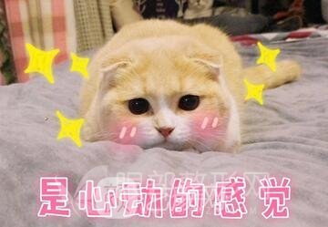 開眼角多長時間恢復(fù)