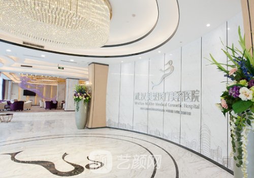 武漢口碑好的整形醫(yī)院有