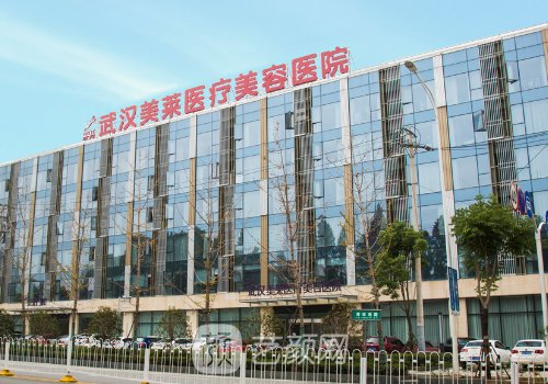 武漢美萊和武漢韓辰哪個(gè)