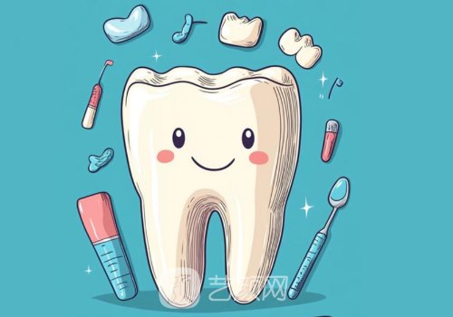 威蘭德臻瓷是什么檔次?定