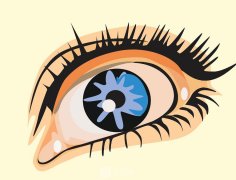 人工玻璃體球囊植入心得