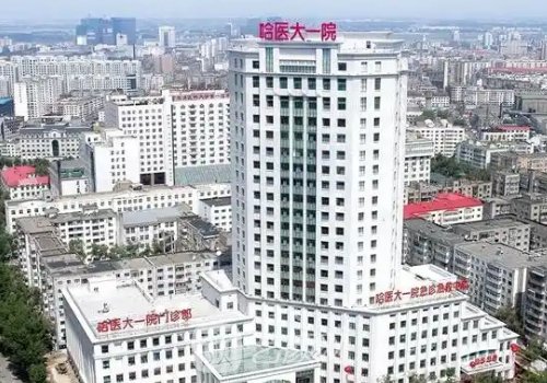 哈爾濱做鼻子多少錢?202