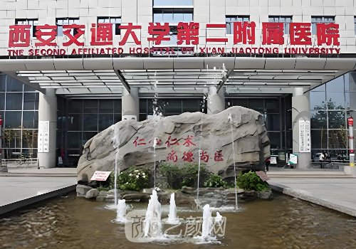 西安交大二附院整形科團
