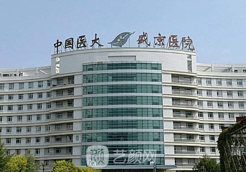 沈陽(yáng)盛京醫(yī)院整形外科哪