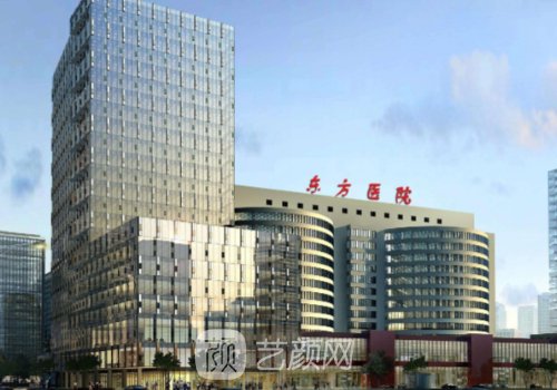 上海毛發(fā)種植專家都有誰